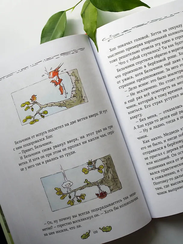 Книга Бельчонок, Медведь и охапка приключений. Повесть (Андреас Х. Шмахтл) — 10