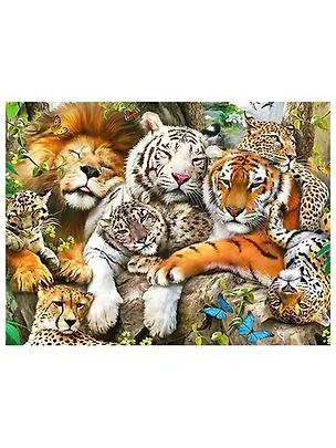 Алмазная мозаика MAZARI Большие кошки 30х40см (рама 33х43см) частичная выкладка, стразы разного размера 361821