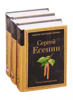 Главные поэты Серебряного века: Сергей Есенин. Владимир Маяковский. Осип Мандельштам (комплект из 3 книг) — 2821499 — 1