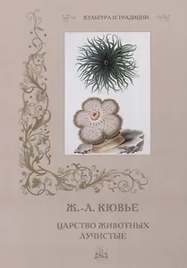 Ж. Л. Кювье. Царство животных. Лучистые