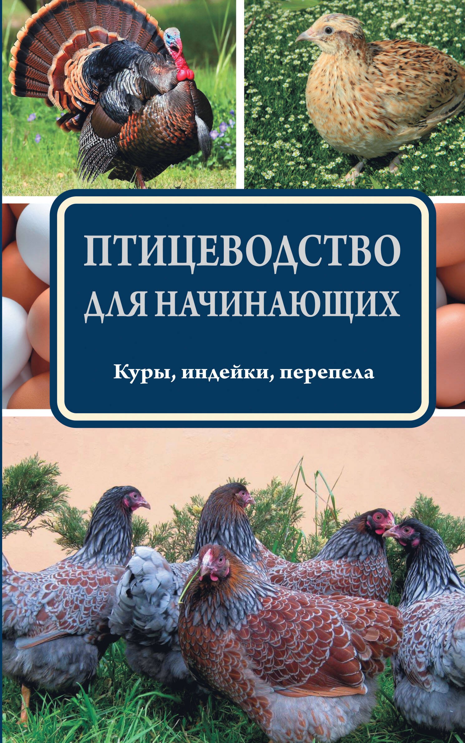 

Птицеводство для начинающих
