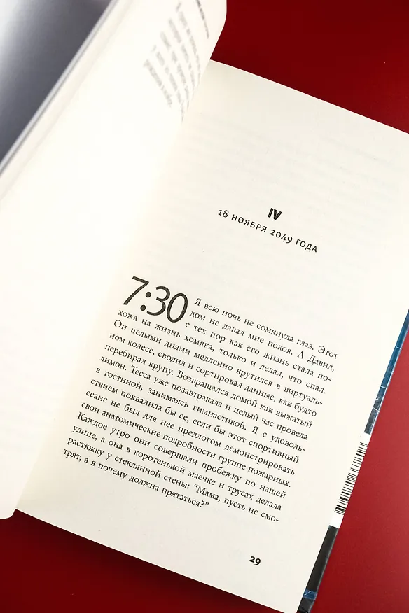 Книга Панорама (Лилия Ассен) — 9