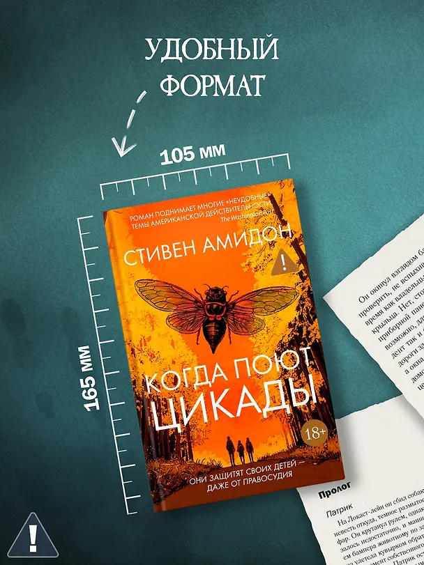 Книга Когда поют цикады (Стивен Амидон) — 10