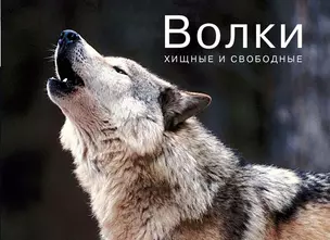 Волки. Хищные и свободные — 2380815 — 1