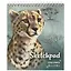 Скетчбук с серой бумагой «Гепард», 30 листов, 19.5 х 16.8 см — 253275 — 1