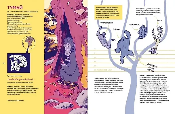 Книга Путешествие во времени. Эволюция человека (Михаэль Штанг, Сюзан Шедлих) — 5