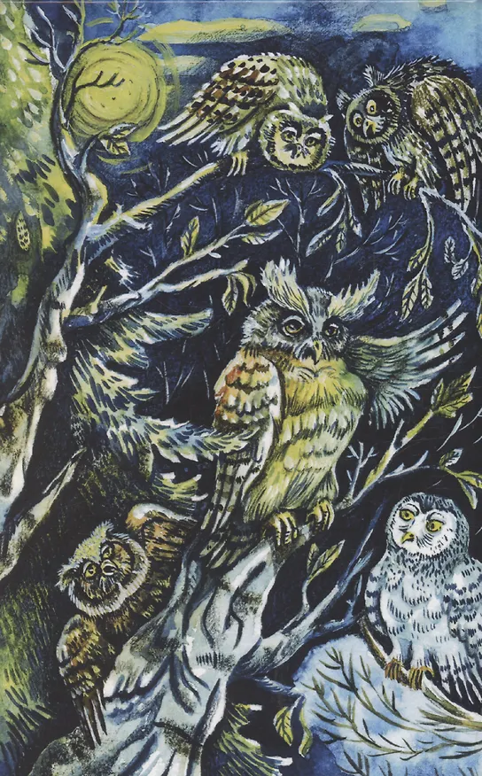 Книга Заговор сов (Павел Засодимский) — 2