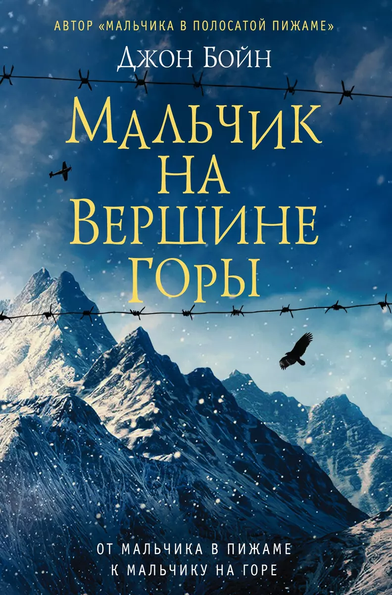 Мальчик на вершине горы (Джон Бойн) - купить книгу с доставкой в  интернет-магазине «Читай-город». ISBN: 978-5-86471-716-5