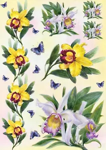 Декупажная карта Солнечный полдень (А4)