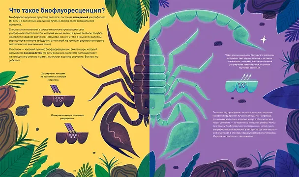 Книга Кто светится в темноте? Невероятные факты о способностях животных (Зои Армстронг) — 7