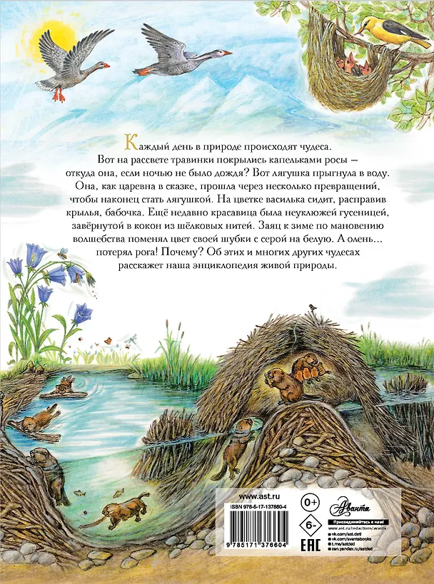 Книга Чудеса природы. 50 историй в картинках для детей (Виктория Царинная) — 2