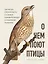 О чем поют птицы. Записки орнитолога о самых удивительных созданиях планеты — 2797648 — 1