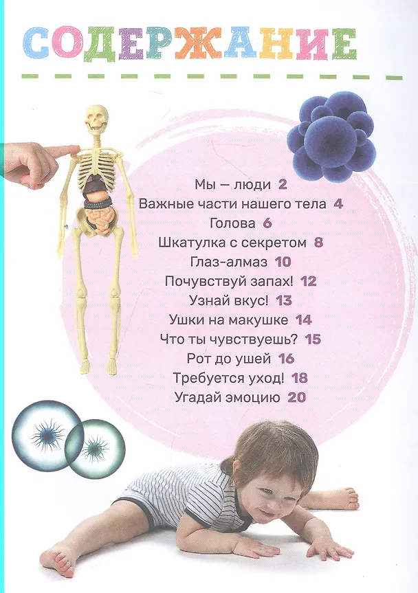 Книга Тело человека (Лариса Попова) — 2