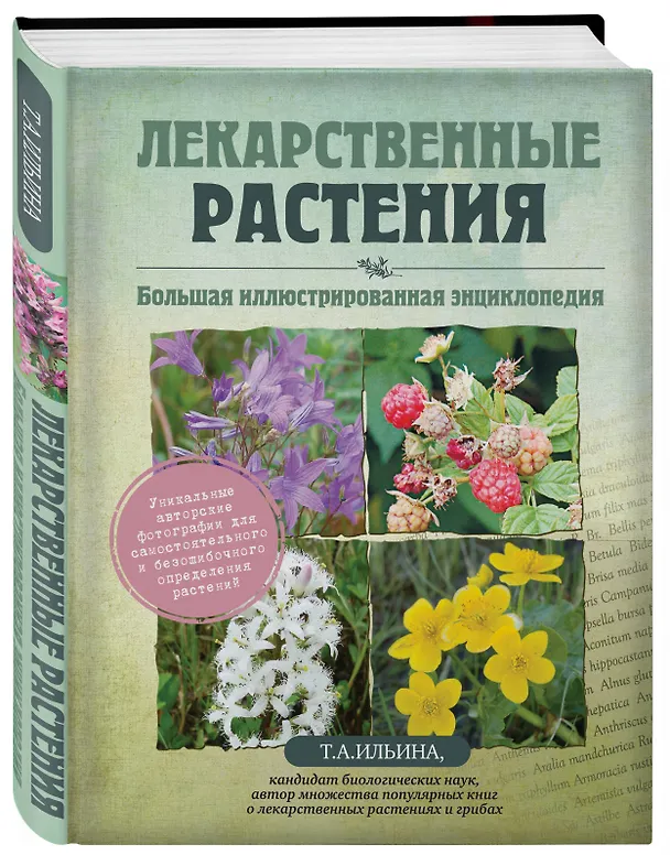 Книга Лекарственные растения. Большая иллюстрированная энциклопедия (Татьяна Ильина) — 4