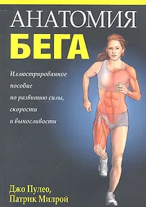 Анатомия бега