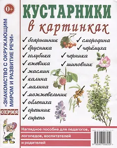 Кустарники в картинках. Наглядное пособие для педагогов, логопедов, воспитателей и родителей