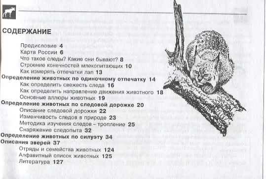 Книга Звери и их следы. Карманный определитель .Изд.4 (Роман Ласуков) — 2