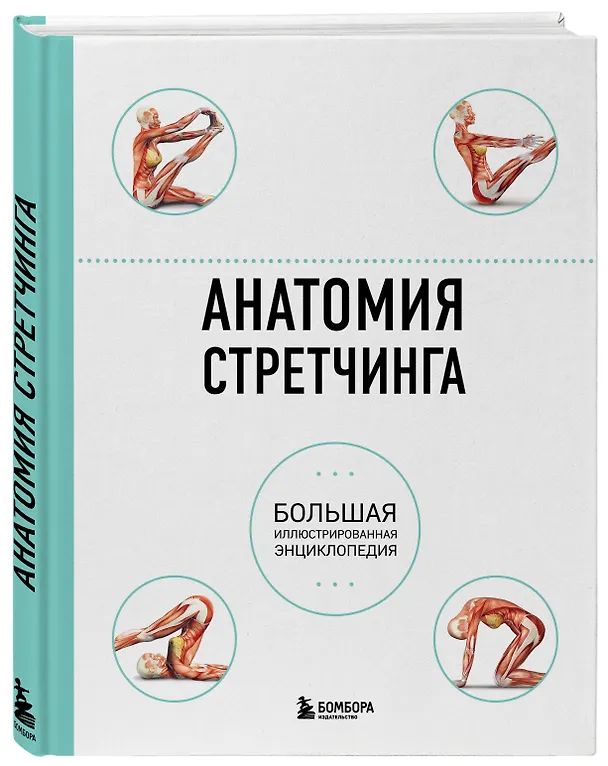 Книга Анатомия стретчинга. Большая иллюстрированная энциклопедия (Н.А. Татаренко, Татьяна Коробкина) — 4