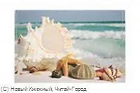 Обложка для паспорта "Ракушки"