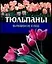 Тюльпаны. Выращивание и уход — 1517399 — 1