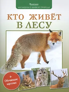 Кто живет в лесу