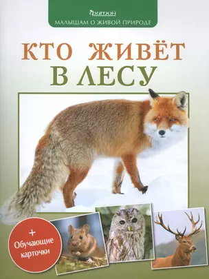 Кто живет в лесу — 2506490 — 1