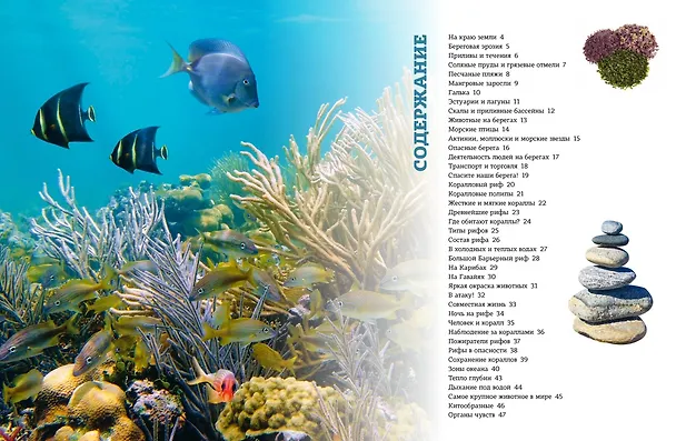 Книга Загадки морей и океанов (Екатерина Пискунова) — 10