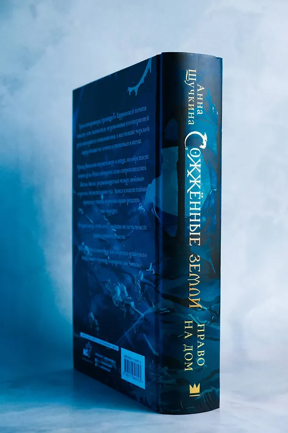 Книга Сожженные земли. Право на дом (Анна Щучкина) — 11