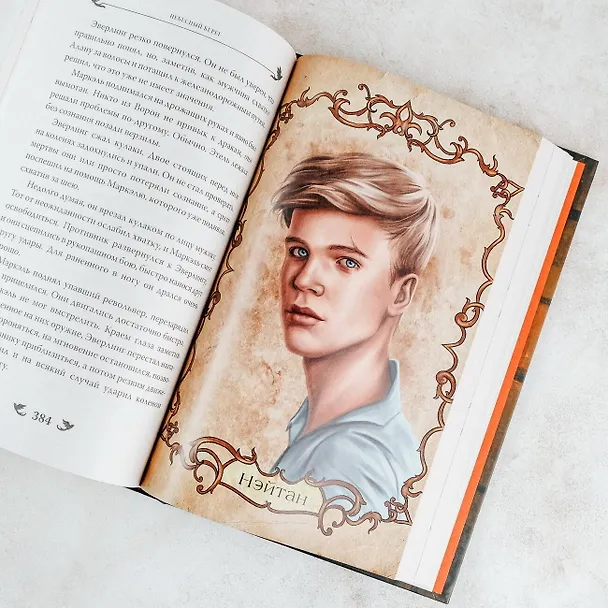Книга Небесный берег (Лизз Демаро) — 14
