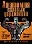 Анатомия силовых упражнений для мужчин и женщин. 5-е изд., доп — 2350343 — 1