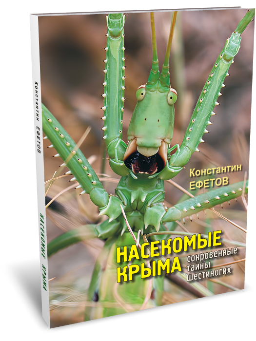 Насекомые Крыма. Сокровенные тайны шестиногих