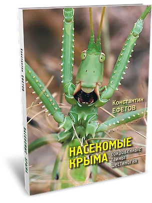 Книга Насекомые Крыма. Сокровенные тайны шестиногих ()