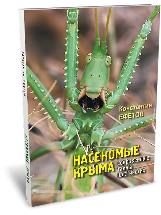 Книга Насекомые Крыма. Сокровенные тайны шестиногих () — 1