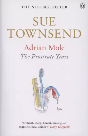 Adrian Mole:The Prostrate Years Townsend, Sue — 2872832 — 1