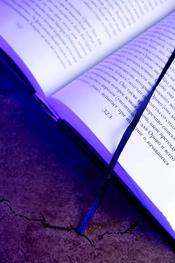 Книга Проклятие Шалиона (Лоис Макмастер Буджолд) — 11