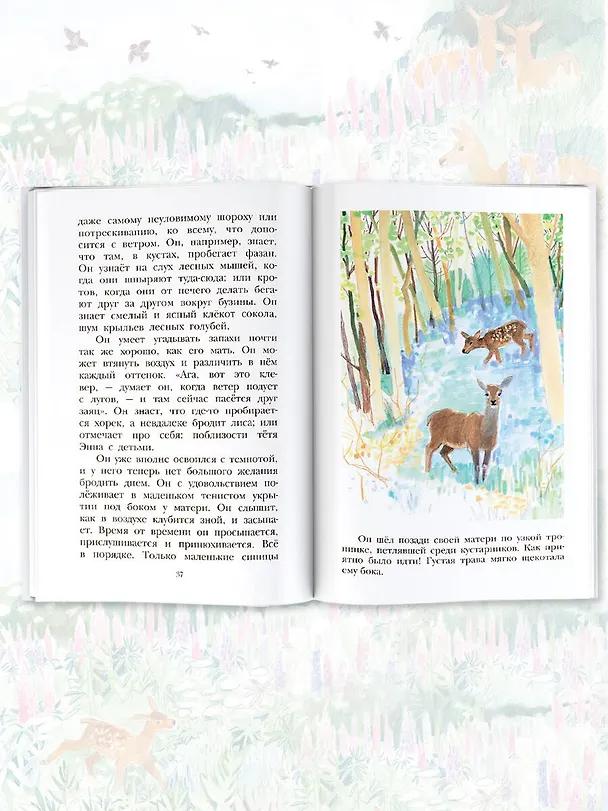 Книга Бемби (Феликс Зальтен) — 6