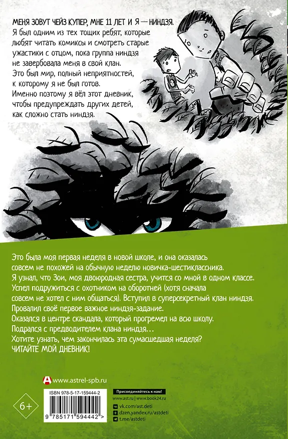 Книга Дневник ниндзя-шестиклассника (Маркус Эмерсон) — 2