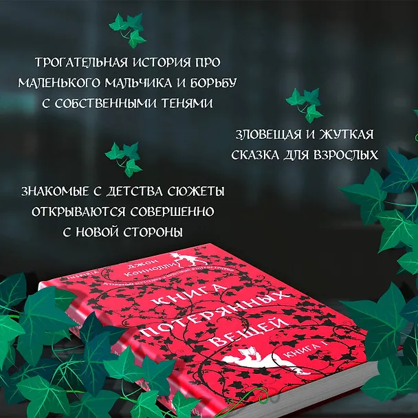 Книга Книга потерянных вещей. Книга 1 (Джон Коннолли) — 6
