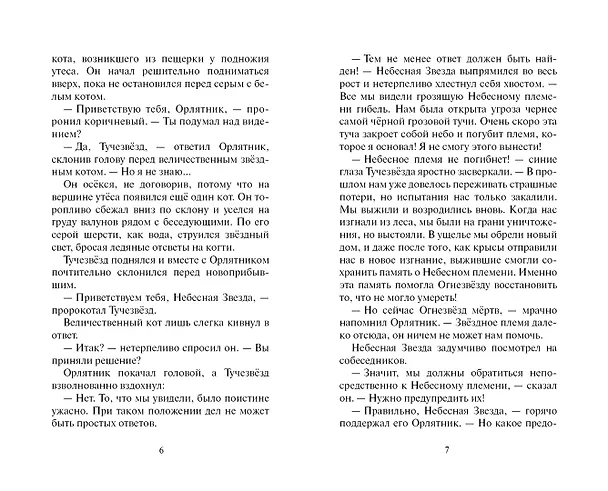 Книга Ослепление (Эрин Хантер) — 3