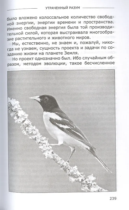 Книга Утраченный разум (Леонид Ивашов) — 9