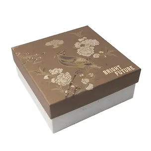 Коробка подарочная "Bright future" 18*18*7,5, картон 3104111