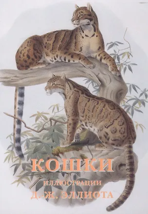 Книга Кошки (илл. Эллиота) (набор открыток) (папка) ()