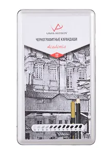 Карандаши чернографитные "VISTA-ARTISTA" Academia, 12шт, мет.коробка, ВКФ