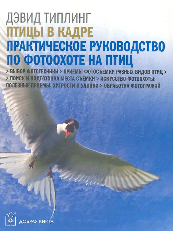 Книга Птицы в кадре: Самое полное практическое руководство по фотоохоте на птиц с цифровой фотокамерой (Дэвид Типлинг) — 1