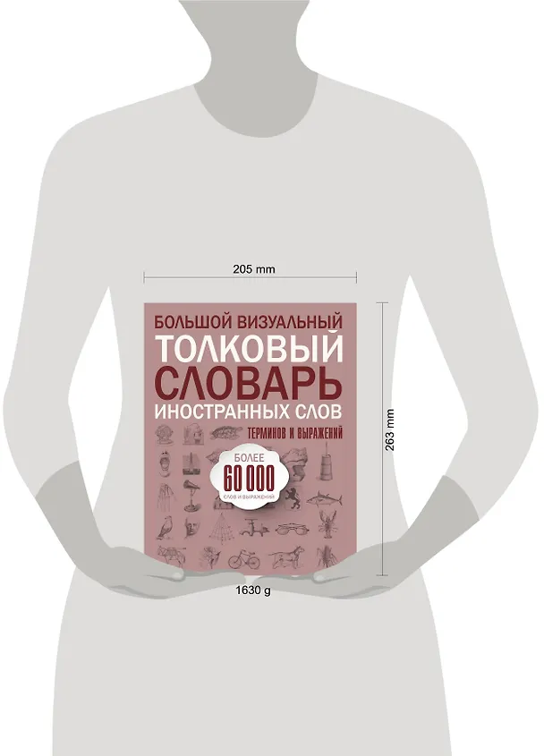 Книга Большой визуальный толковый словарь иностранных слов, терминов и выражений. 60000 статей () — 4