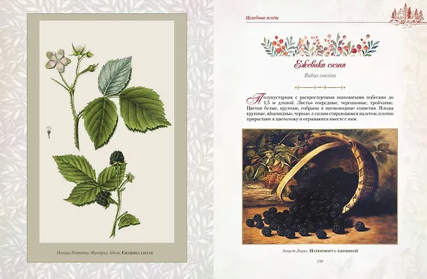 Книга Русский лес. Грибы и ягоды () — 11