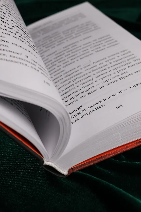 Книга Черная метель (Элисон Стайн) — 14