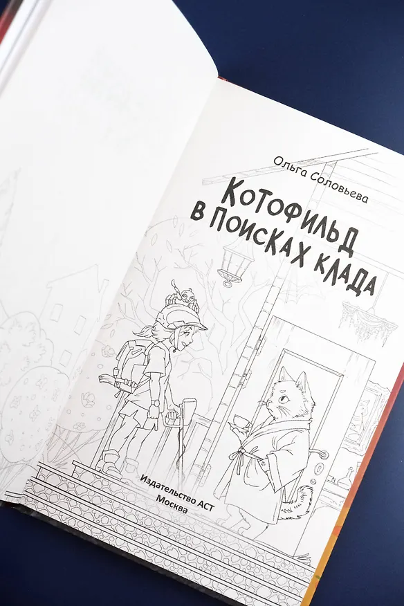 Книга Котофильд в поисках клада (Ольга Соловьёва) — 10