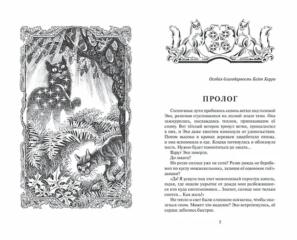 Книга Гроза и Тень (Эрин Хантер) — 6