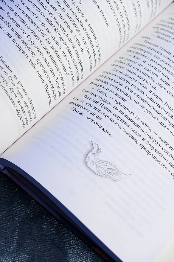 Книга Светлый пепел луны. Книга 3. Новелла (Тэнло Вэйчжи) — 13